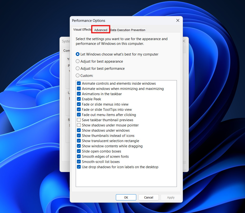 Advanced Performance Options