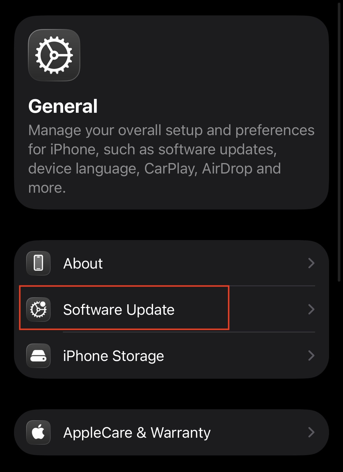 iPhone Software Update