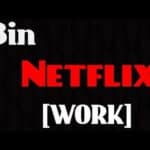 Netflix Bins Everything About Bins