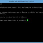 Bandit hacking simulator