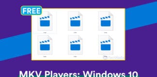 Top 10 Best Free MKV Video Players For Windows 10