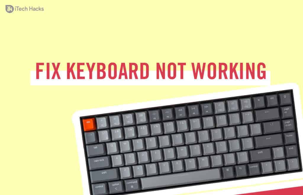 Fix Keyboard Stopped Typing on Windows 10 (All Solutions)