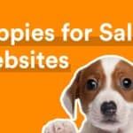 Top 10 Best Puppies for Sale Websites (2021)