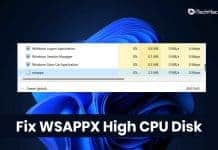 Fix WSAPPX High CPU Disk