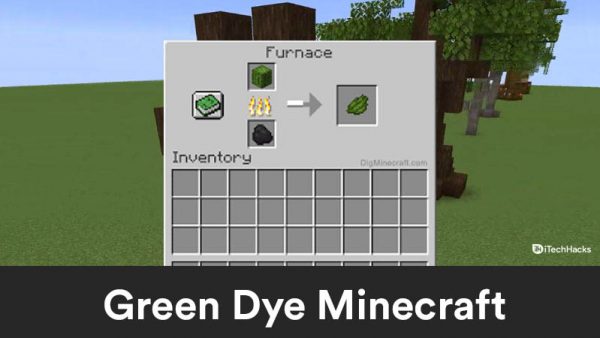 How to Get Minecraft Green Dye 2024 (Full Guide)