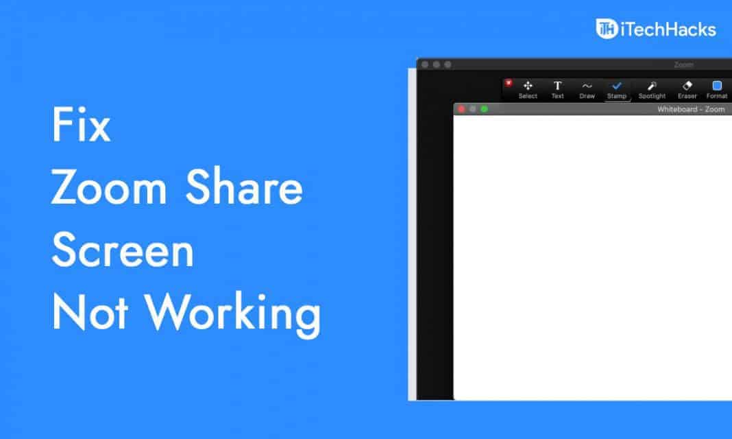 5 Fixes For Zoom Screen Sharing Not Working 2023