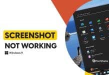 How to Fix Screenshot Not Working on Windows 11 How To Fix Windows 11 Screenshot Not Working