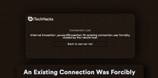 Fix An Existing Connection Was Forcibly Closed On Minecraft