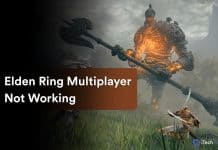 How To Fix Elden Ring Multiplayer Not Working