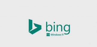 Remove Bing From Windows 11