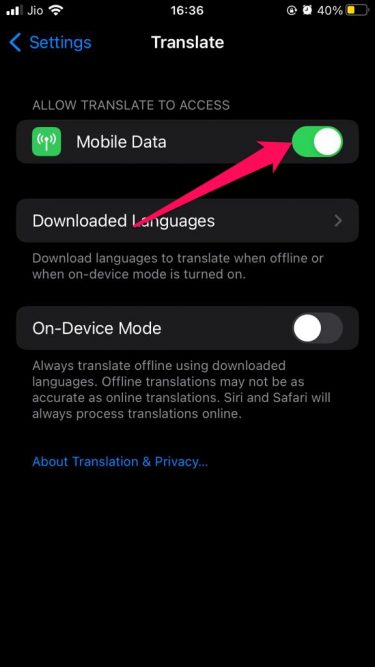 Use Apple Translate App On iPhone
