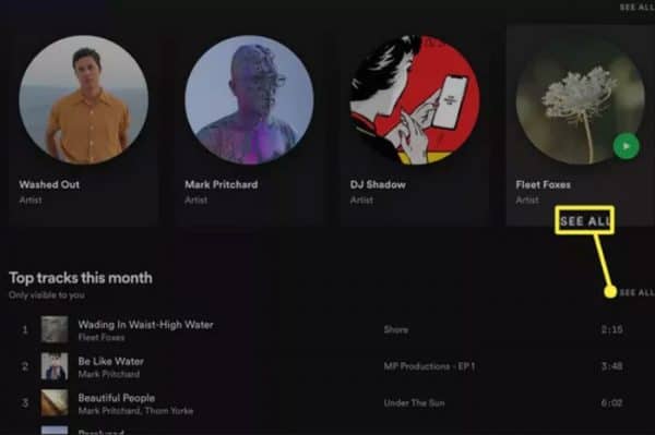 How To See Your Spotify Stats On Mobile PC 2023 