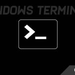 How to Download Windows Terminal Latest Version for Windows 11/10