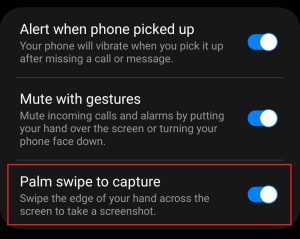 Palm Swipe To Capture