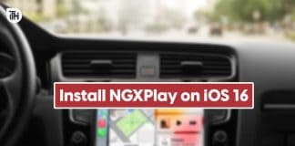 How to Install NGXPlay on iOS 16