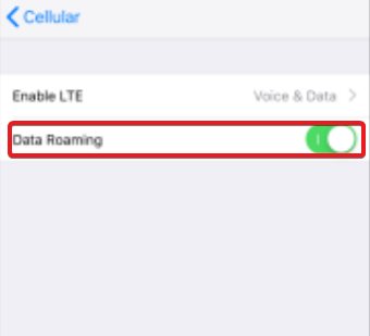 how to get cellular data on new iphone verizon