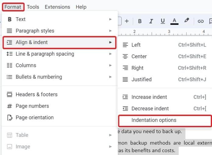 How to Create Hanging Indent on Google Docs (2024)