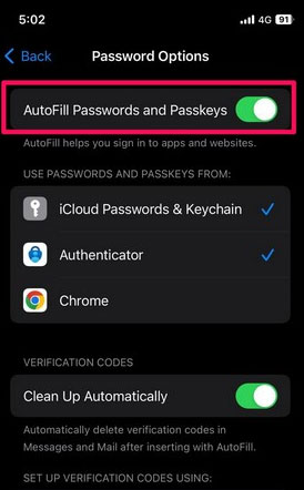 AutoFill Email Verification Codes on iPhone in iOS 17