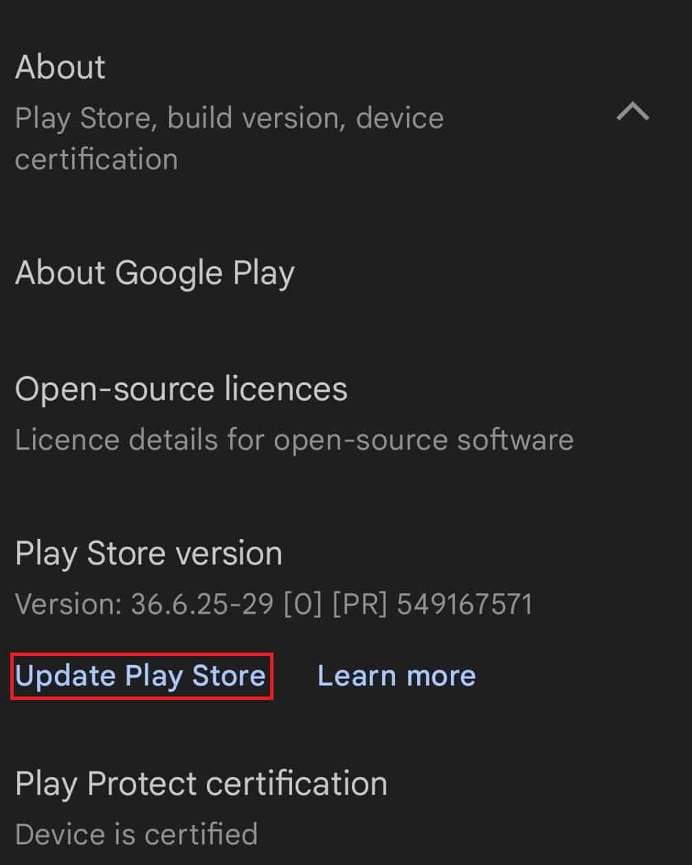 Update Play Store