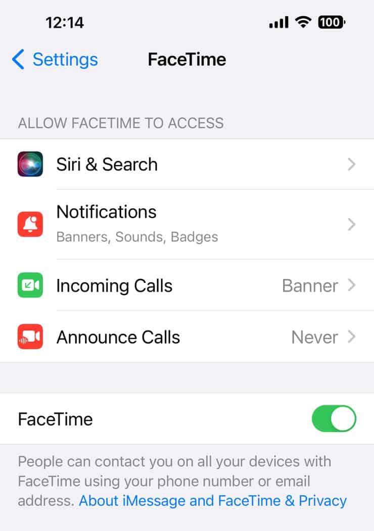 Top 12 Ways to Fix Facetime Not Showing Other Person (2024)