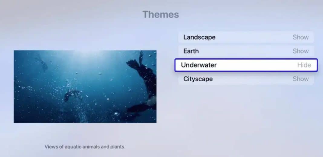 Apple TV Screensaver Locations How to Switch and Manage Like a Pro