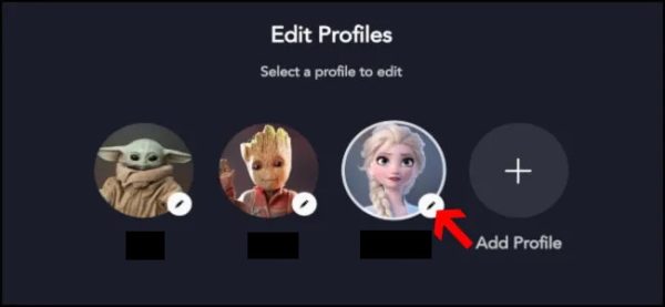 5 Ways to Change Disney+ Profile Picture on TV, Mobile, PC