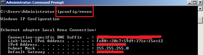 ipconfig /renew