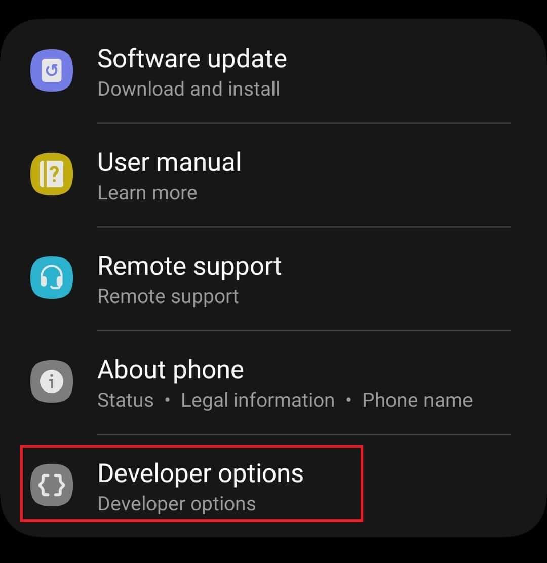 Developer Options