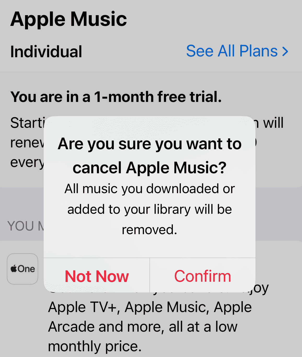 How to Cancel Apple Music Free Trial Subscription 2024