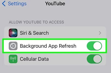 Allow cellular data and background app refresh for the YouTube app