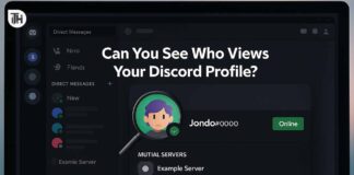 Can You See Who Views Your Discord Profile? Here's How