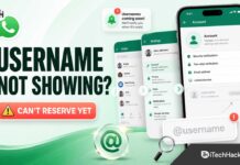 WhatsApp Username Not Showing? Why You Can’t Reserve One Yet WhatsApp Username Not Showing? Why You Can’t Reserve One Yet