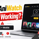 AniWatch Not Working or Down? 12 Ways to Fix It on PC & Mobile AniWatch Not Working or Down? 12 Ways to Fix It on PC & Mobile